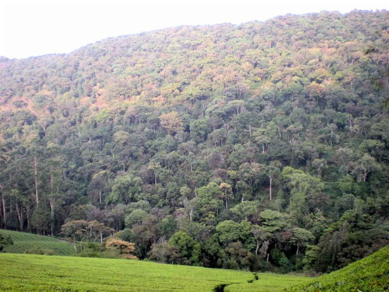 Part 7 – Training for the&nbsp;Comrades